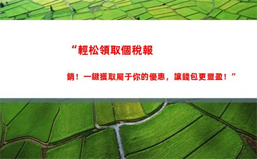 “輕松申報，讓你的勞務收入更劃算！”