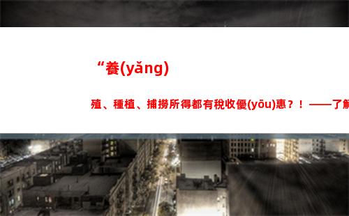 大學(xué)實(shí)習(xí)個(gè)人所得稅