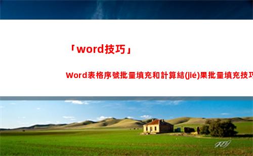 「word技巧」Word表格序號批量填充和計算結(jié)果批量填充技巧(WORD技巧)