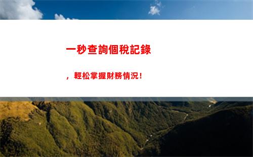 一鍵查詢個稅記錄，輕松了解稅負情況！