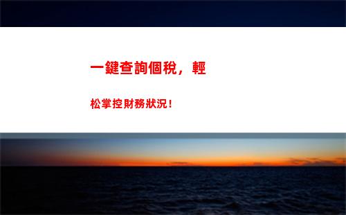 零基礎也能輕松查詢個人所得稅，快來試試吧！