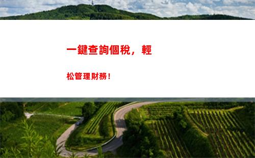 免費查個稅，專業代碼在線查詢，快速了解稅款情況