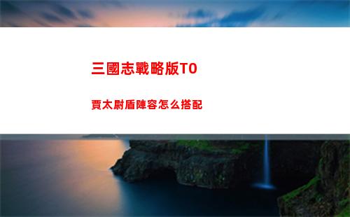 三國志戰略版T0賈太尉盾陣容怎么搭配