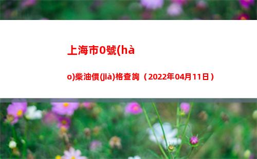 上海市0號(hào)柴油價(jià)格查詢（2022年04月11日）插圖