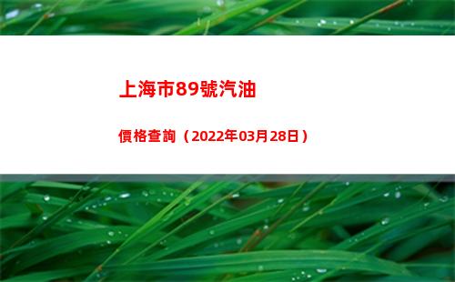 上海市89號汽油價格查詢（2022年03月28日）