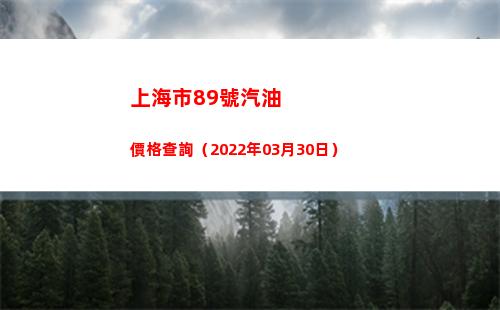 上海市89號汽油價格查詢（2022年03月30日）