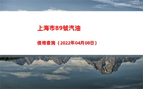 上海市89號汽油價格查詢（2022年04月08日）