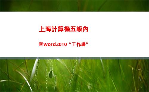 上海計算機五級內容word2010“工作證”(計算機五級考試)