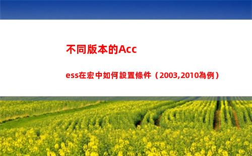 不同版本的Access在宏中如何設置條件（2003,2010為例）(不同版本的acc跟office的可以在一個電腦嗎)