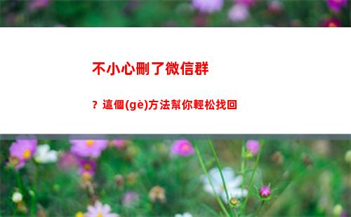 不小心刪了微信群？這個(gè)方法幫你輕松找回(不小心把微信群刪了怎么找回來)