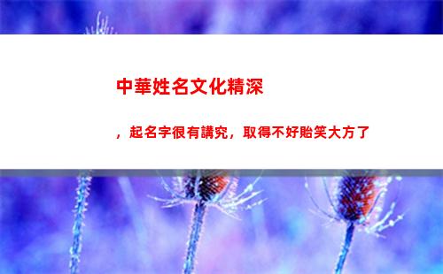 中華姓名文化精深，起名字很有講究，取得不好貽笑大方了
