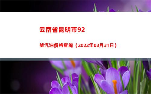 云南省昆明市92號汽油價格查詢（2022年03月31日）