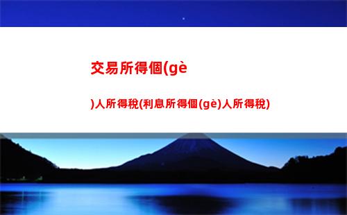 個(gè)人所得稅wed(個(gè)人所得稅web端設(shè)置密碼)