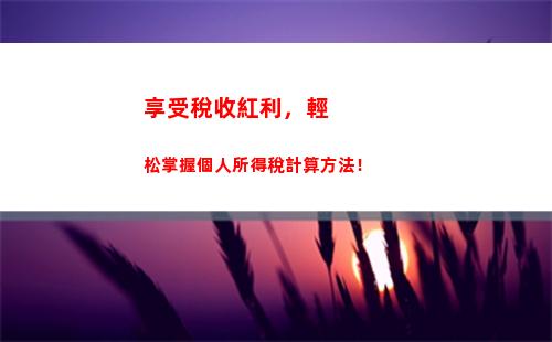 賽事個人所得稅(個人所得稅怎么填寫申報)