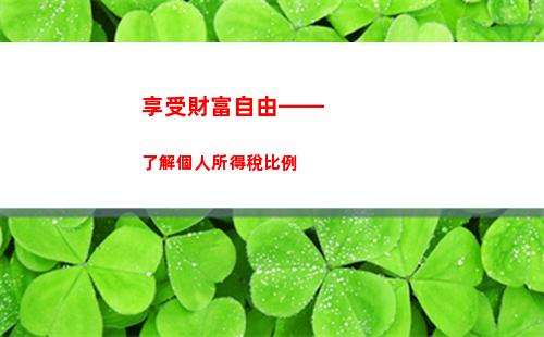 退個人所得稅稅務局(退個人所得稅稅務局審核中需要多少時間)