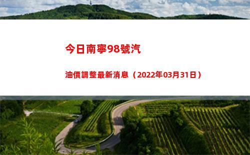 今日南寧98號汽油價調整最新消息（2022年03月31日）
