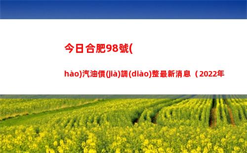 今日合肥98號(hào)汽油價(jià)調(diào)整最新消息（2022年04月13日）