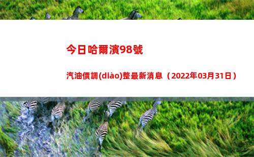 今日哈爾濱98號汽油價調(diào)整最新消息（2022年03月31日）插圖
