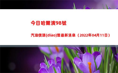 今日哈爾濱98號汽油價調(diào)整最新消息（2022年04月11日）插圖