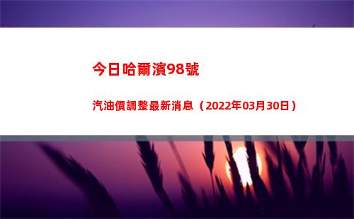 今日哈爾濱98號汽油價調整最新消息（2022年03月30日）