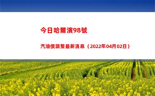 今日哈爾濱98號汽油價調整最新消息（2022年04月02日）