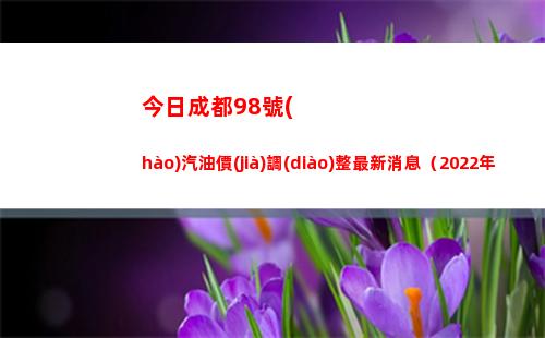 今日成都98號(hào)汽油價(jià)調(diào)整最新消息（2022年04月13日）插圖