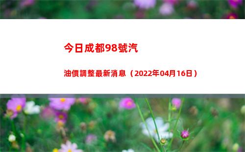 今日成都98號汽油價調整最新消息（2022年04月16日）插圖