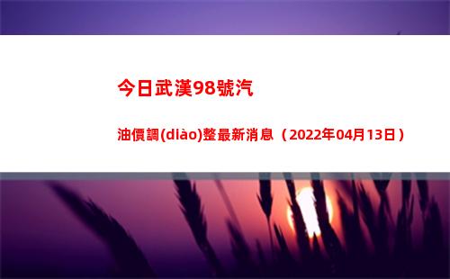 今日武漢98號汽油價調(diào)整最新消息（2022年04月13日）