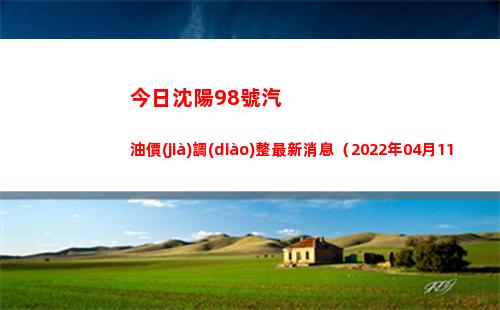 今日沈陽98號汽油價(jià)調(diào)整最新消息（2022年04月11日）插圖