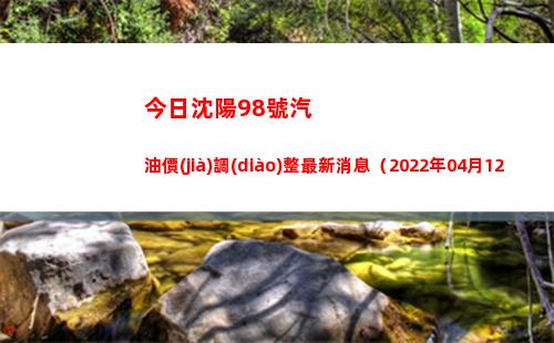 今日沈陽98號汽油價(jià)調(diào)整最新消息（2022年04月12日）插圖