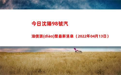 今日沈陽98號汽油價調(diào)整最新消息（2022年04月13日）插圖
