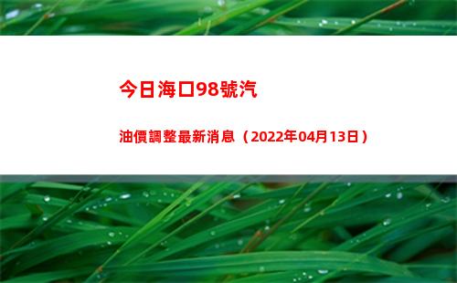 今日海口98號汽油價調整最新消息（2022年04月13日）