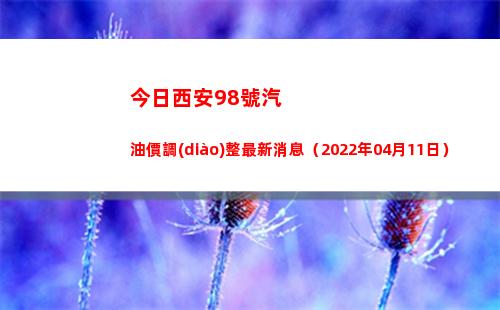 今日西安98號汽油價調(diào)整最新消息（2022年04月11日）插圖