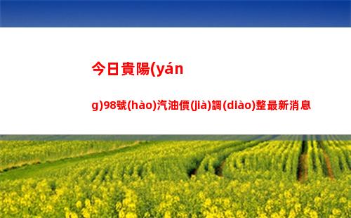 今日貴陽(yáng)98號(hào)汽油價(jià)調(diào)整最新消息（2022年04月11日）插圖