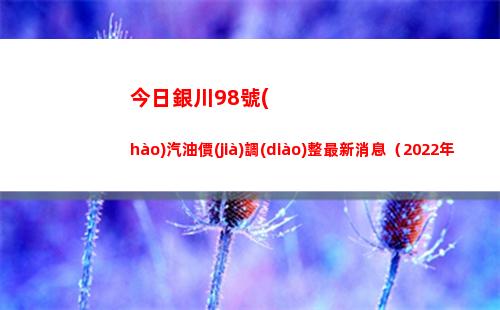 今日銀川98號(hào)汽油價(jià)調(diào)整最新消息（2022年04月08日）插圖
