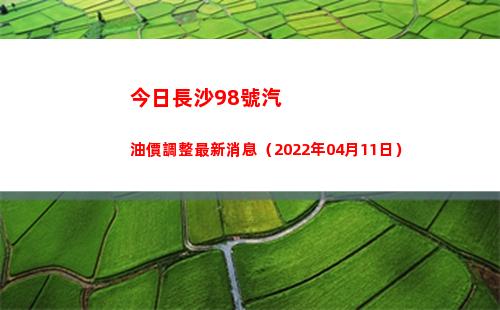 今日長沙98號汽油價調整最新消息（2022年04月11日）