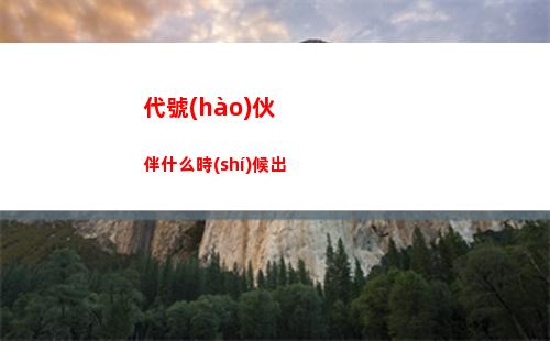 代號(hào)伙伴什么時(shí)候出