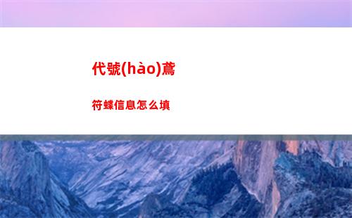 代號(hào)鳶符蝶信息怎么填