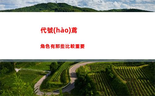 代號(hào)鳶周瑜強(qiáng)度介紹