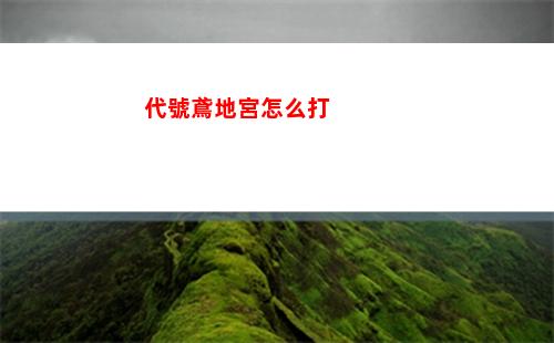 代號伙伴什么時候出