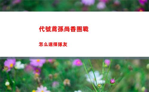 代號鳶孫尚香團戰怎么選擇隊友
