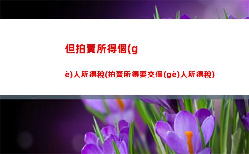 抽獎(jiǎng)偶然所得個(gè)人所得稅(偶然所得怎么申報(bào)個(gè)人所得稅)