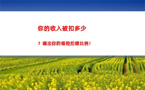 個人所得稅怎么看退多少稅(個人所得稅扣稅對照表)