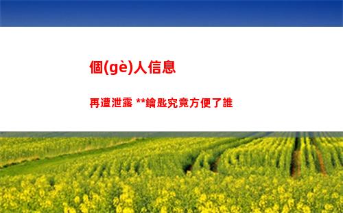 個(gè)人信息再遭泄露 萬能鑰匙究竟方便了誰(如何解決個(gè)人信息泄露問題)