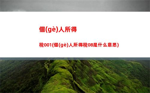 “一鍵查詢個(gè)稅，輕松搞定稅費(fèi)煩惱！”