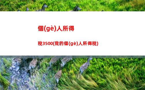 個(gè)人所得稅a類(個(gè)人所得稅A類申報(bào)表)