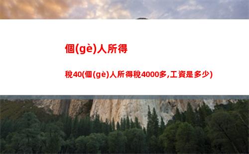 “一鍵查詢個(gè)稅余額，零失誤補(bǔ)繳，財(cái)務(wù)健康無憂”