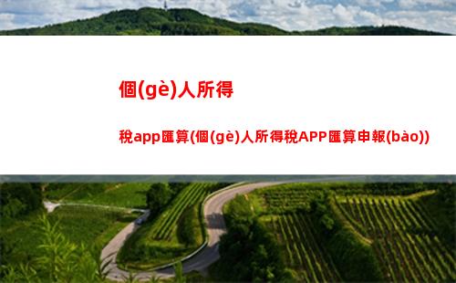 “輕松上手！讓你的個(gè)稅在線申報(bào)井井有條”
