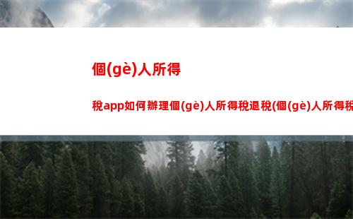 個(gè)人所得稅app是干嘛的(個(gè)人所得稅app正版官方下載退稅)