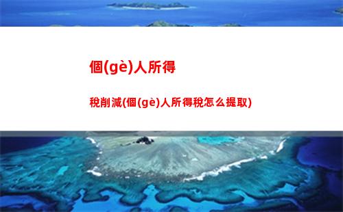 個(gè)人所得稅企業(yè)稅(個(gè)人所得稅企業(yè)稅率表)
